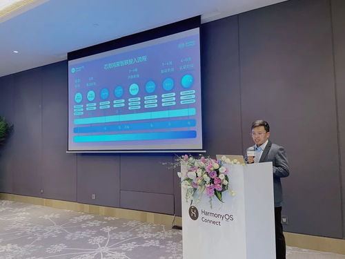 2025年度harmonyos connect伙伴峰會暨芯?？萍挤终搲瘓A滿落幕