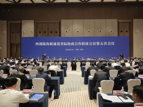 共商共建 合作共贏——西部陸海新通道省際協商合作聯席會議第五次會議在渝順利召開