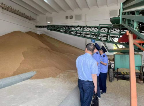 違規(guī)收購糧食被罰10萬元，南京公布一批典型案例加強(qiáng)糧食市場(chǎng)管理